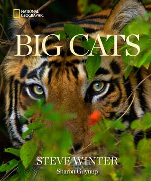 Big Cats de Sharon Guynup
