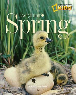 Everything Spring de Jill Esbaum