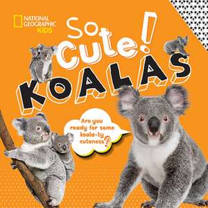 So Cute!: Koalas de Crispin Boyer