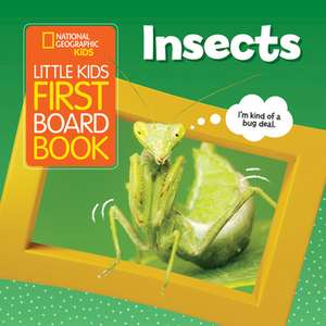 Little Kids First Board Book: Insects de Ruth A. Musgrave