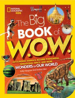 Big Book of W.O.W. de Andrea Silen