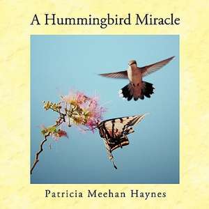 A Hummingbird Miracle de Patricia Meehan Haynes