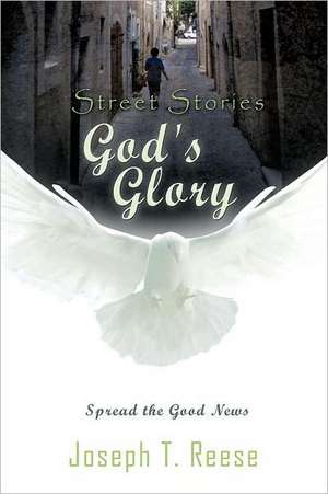 Street Stories God's Glory de Joseph T. Reese