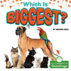 Which Is Biggest? de Miranda Kelly