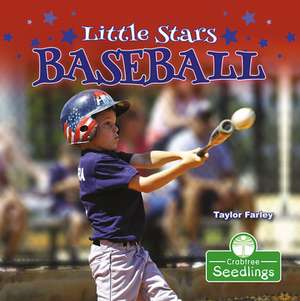 Little Stars Baseball de Taylor Farley