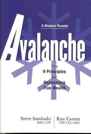 Avalanche: The 9 Principles for Uncovering True Wealth de Steve Sanduski