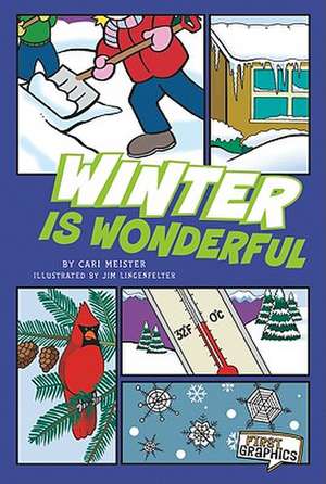 Winter Is Wonderful de CARI MEISTER