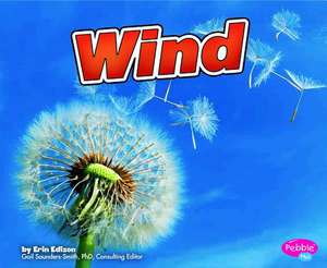 Wind de Erin Edison