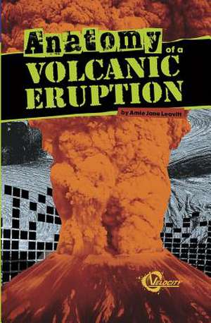 Anatomy of a Volcanic Eruption de Amie Jane Leavitt