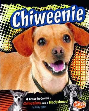 Chiweenie: A Cross Between a Chihuahua and a Dachshund de Molly Kolpin