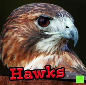 Hawks de Cecilia Pinto McCarthy