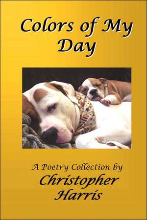 Colors of My Day de Christopher Harris