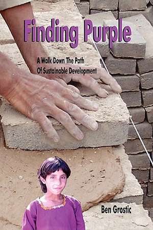 Finding Purple: A Walk Down The Path Of Sustainable Development de Ben Grostic