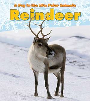 Reindeer de Katie Marsico