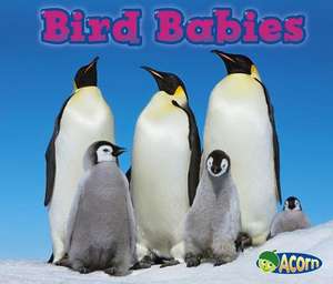 Bird Babies de Catherine Veitch