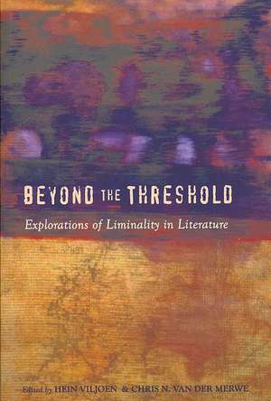 Beyond the Threshold de Hein Viljoen