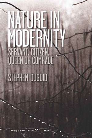 Nature in Modernity de Stephen Duguid