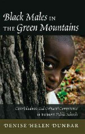 Black Males in the Green Mountains de Denise Helen Dunbar