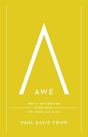 Awe – Why It Matters for Everything We Think, Say, and Do de Paul David Tripp