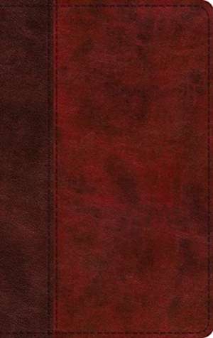 ESV Large Print Thinline Bible (TruTone, Burgundy/Red, Timeless Design) de Spck