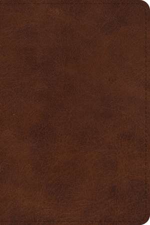 ESV Large Print Bible