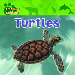 Turtles de Christina Wilsdon