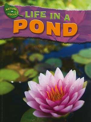 Life in a Pond de Adam Hibbert