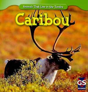 Patrick, R: Caribou