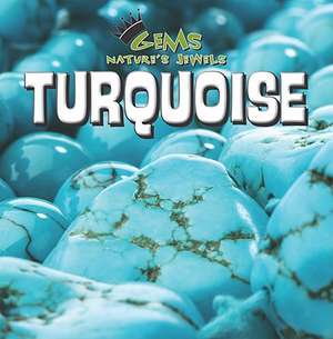 Turquoise de Eric Ethan