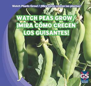 Watch Peas Grow!/Mira Como Crecen Los Guisantes! de Therese M. Shea