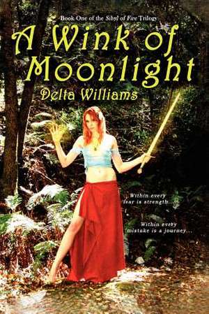 A Wink of Moonlight: Book One of the Sibyl of Fire Trilogy de Delta Williams