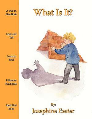 What Is It? de Josephine Easter