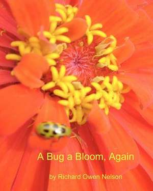 A Bug a Bloom, Again de Richard Owen Nelson