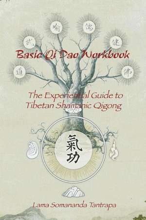 Basic Qi DAO Workbook de Lama Somananda Tantrapa