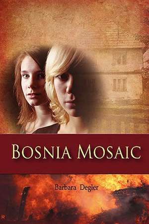 Bosnia Mosaic de Barbara Degler