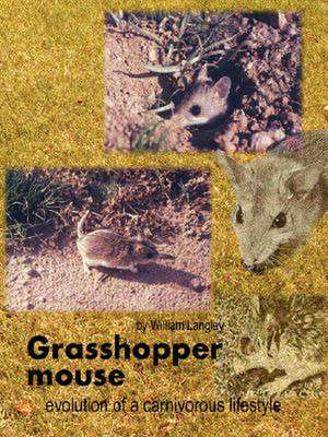 Grasshopper Mouse: Evolution of a Carnivorous Life Style de William Langley