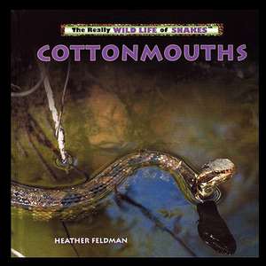 Cottonmouths de Heather Feldman