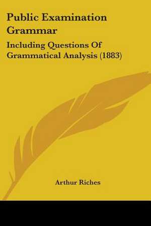 Public Examination Grammar de Arthur Riches