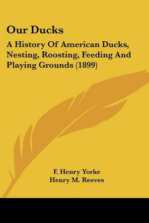 Our Ducks de F. Henry Yorke