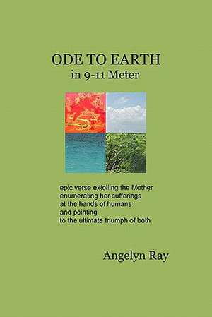 Ode to Earth in 9-11 Meter: Planning, Getting, and Making the Most of an Internship or Co-Op de Angelyn Ray