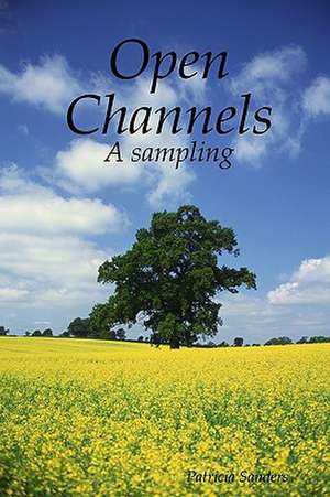 Open Channels: A Sampling de Patricia Sanders