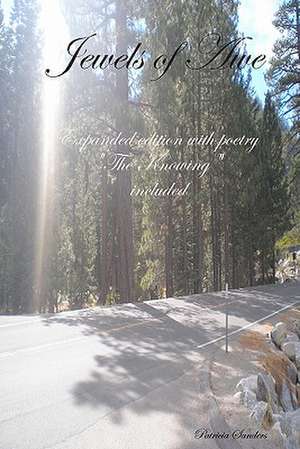 Jewels of Awe: Expanded Edition with Poetry the Knowing Included de Patricia Sanders