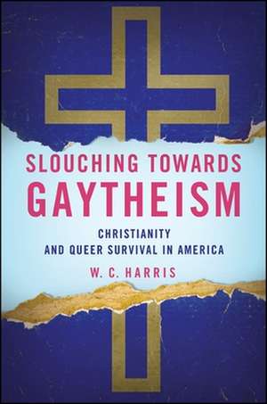 Slouching Towards Gaytheism