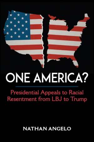 One America? de Nathan Angelo