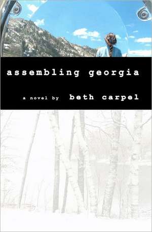 Assembling Georgia: How the U.S. Lost Internet Leadership and What to Do about It de Beth Carpel