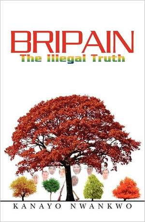 Bripain: The Illegal Truth de Kanayo Nwankwo