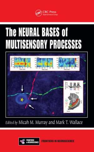 The Neural Bases of Multisensory Processes de Micah M. Murray