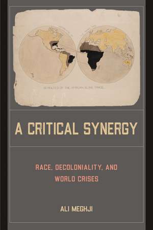 A Critical Synergy: Race, Decoloniality, and World Crises de Ali Meghji