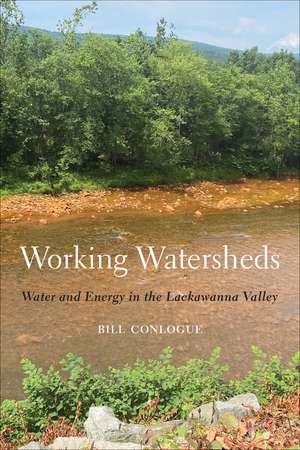 Working Watersheds: Water and Energy in the Lackawanna Valley de William Conlogue