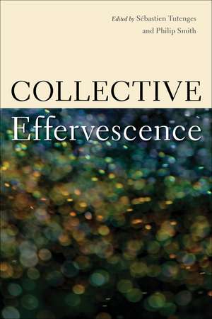 Collective Effervescence de Sébastien Tutenges